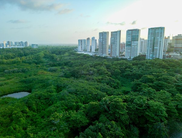 Envoyer une quittance par email : légalité et astuces pratiques